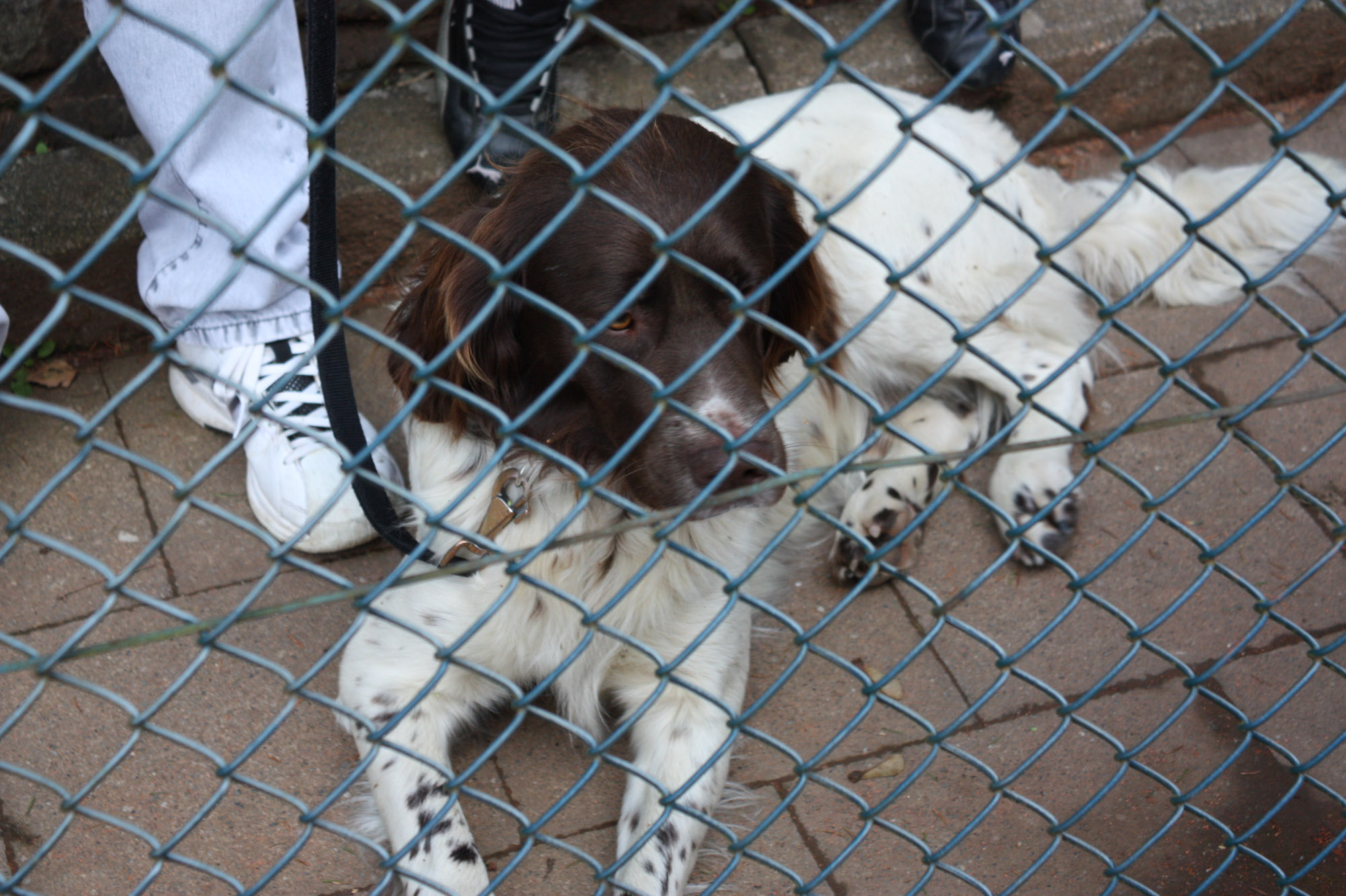 TC Tenniscamp 09 (125)